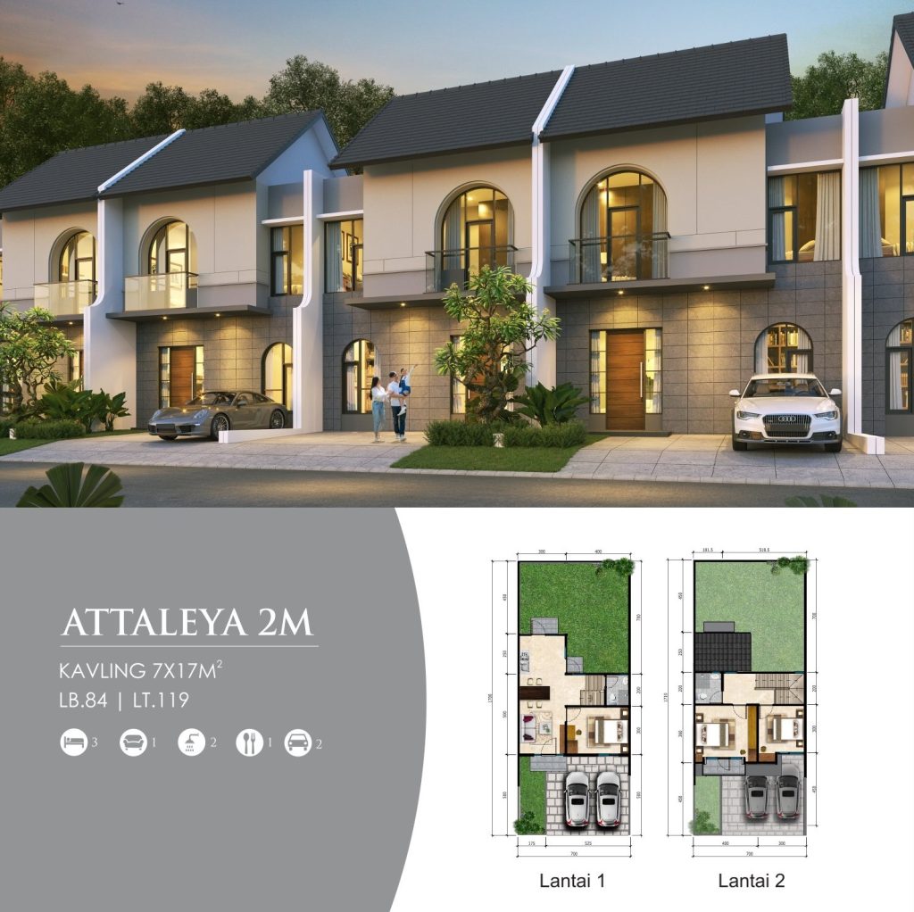 cluster-monteverde-type-Attaleya-2M